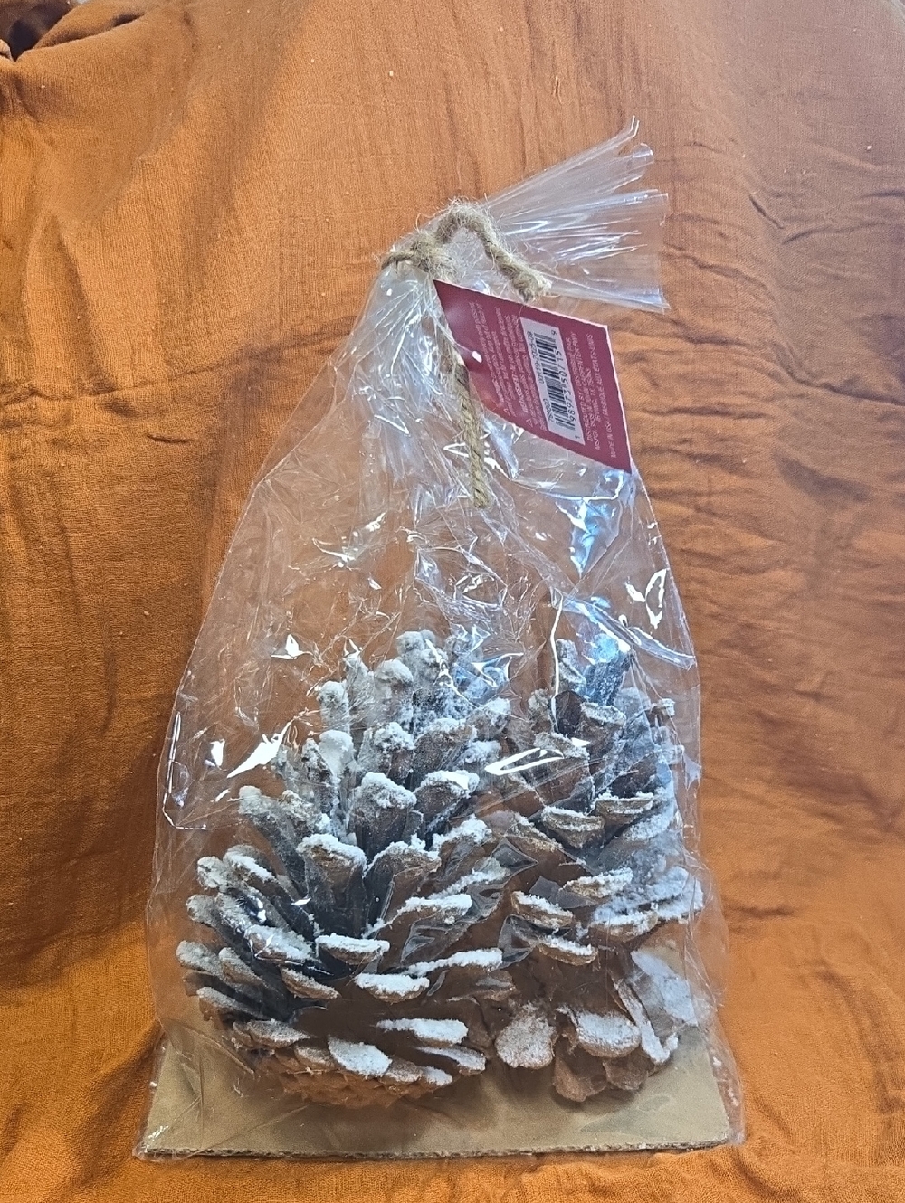 NWT! Flocked Pine Cone Ornament Duo - Natural White Snow
